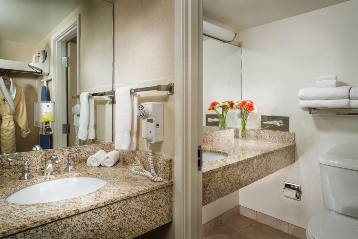 Staypineapple, University Inn, University District Seattle - Housity