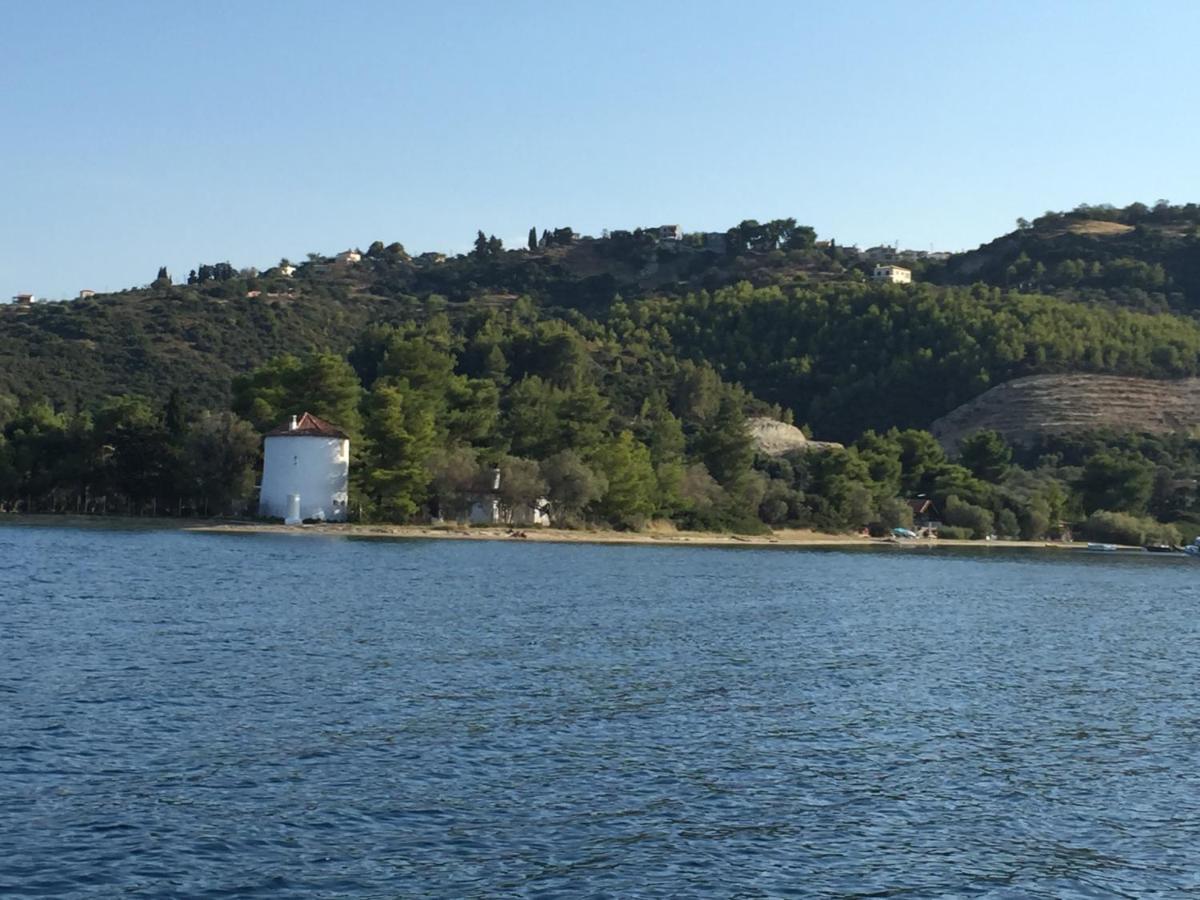 123 Armonia Studios - Housity