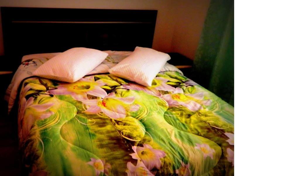 Pensiunea Casa Cornelia Mahmudia - Housity