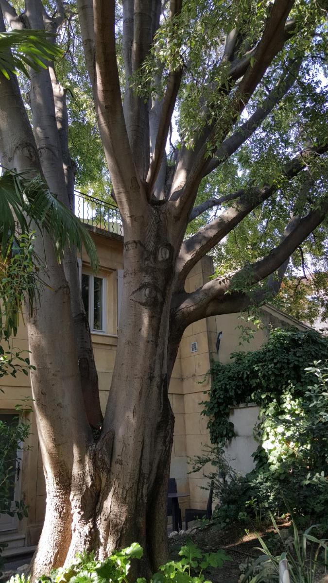 Jardin de l'établissement Hotel Spa Le Calendal