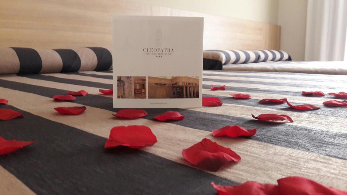Cama o camas de una habitación en Cleopatra Spa Hotel