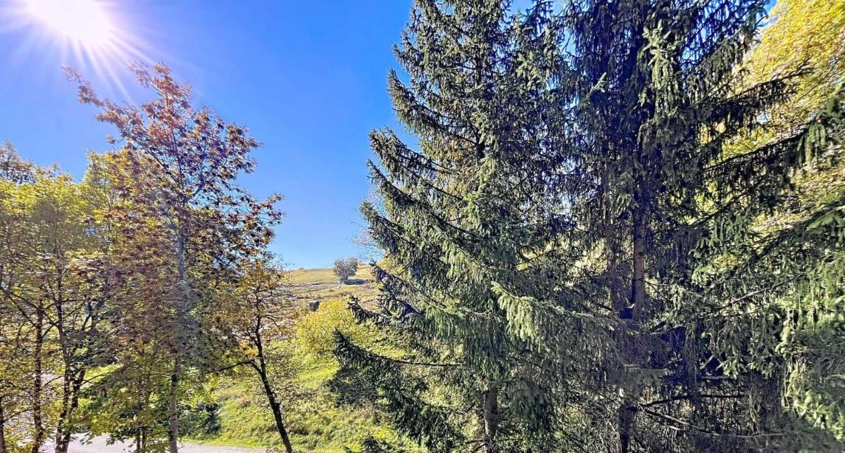 Résidence Orion - STUDIO CABINE 4/5 PERSONNES VUE PISTES MAE-9584 - Housity