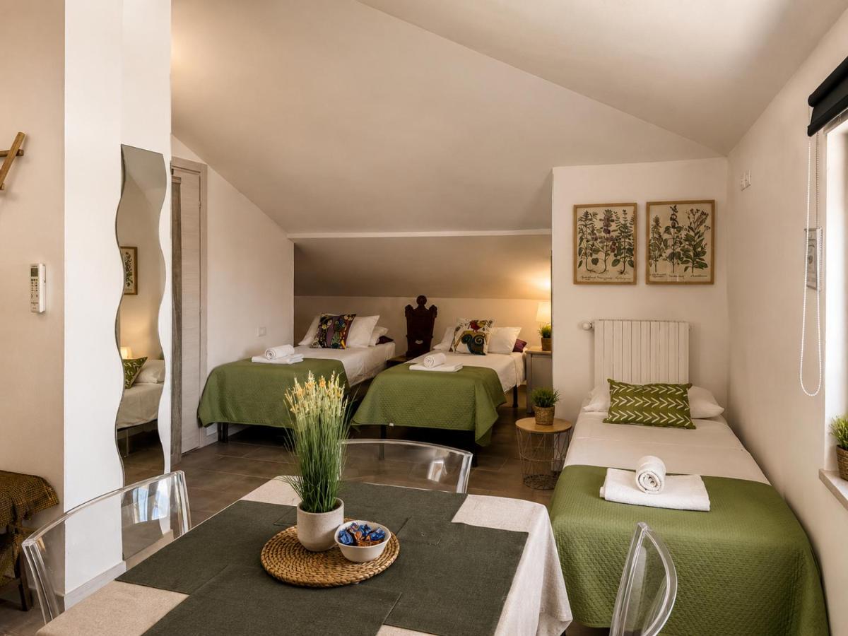 Nest Guesthouse - Housity
