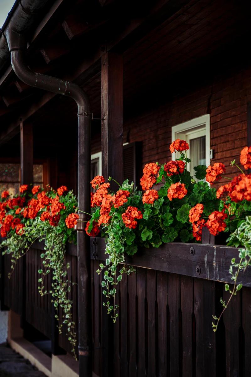 Pension Bergseeblick - Housity