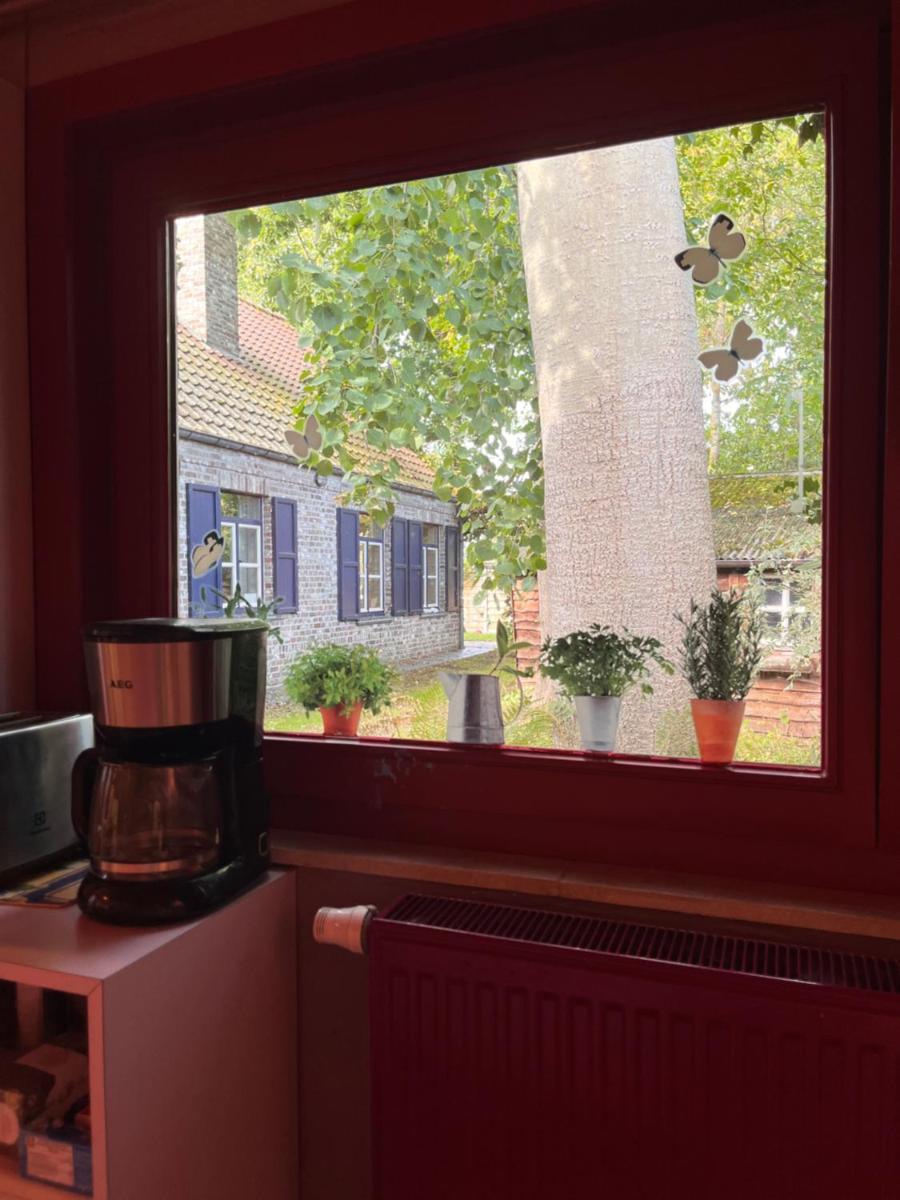 Forgatz Studio - Housity