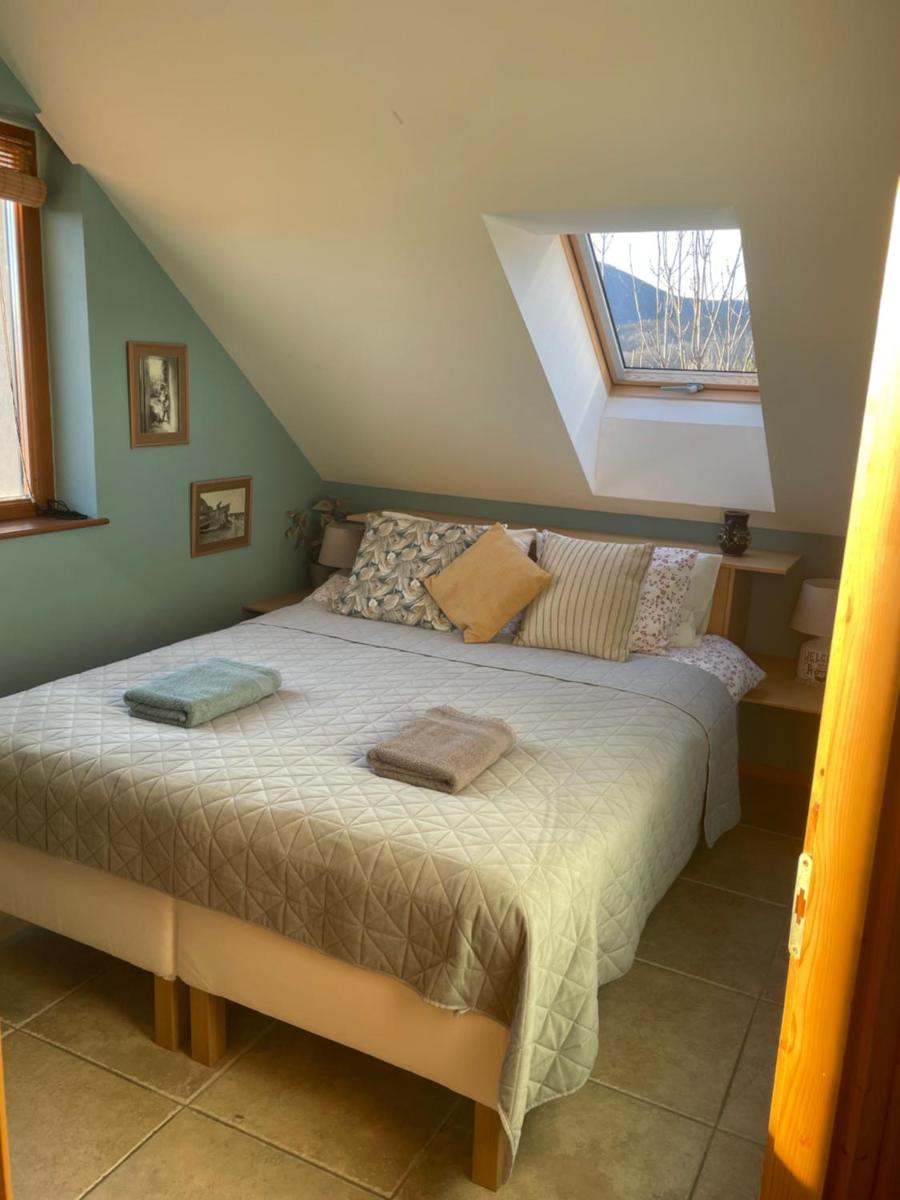 Oak Tree Apartment - Tölgy Lak - Housity