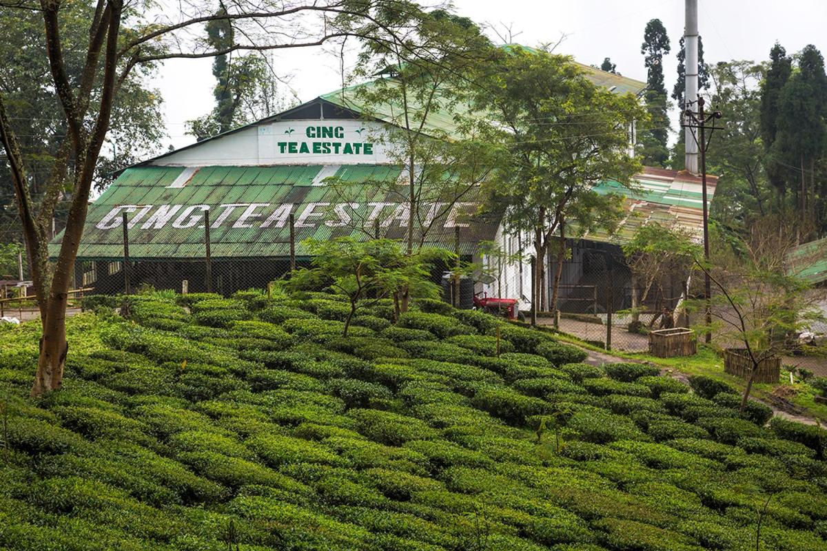 Ging Tea House - Housity