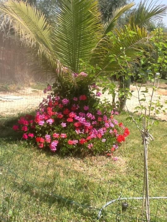 BellaTroun Chalet - Housity
