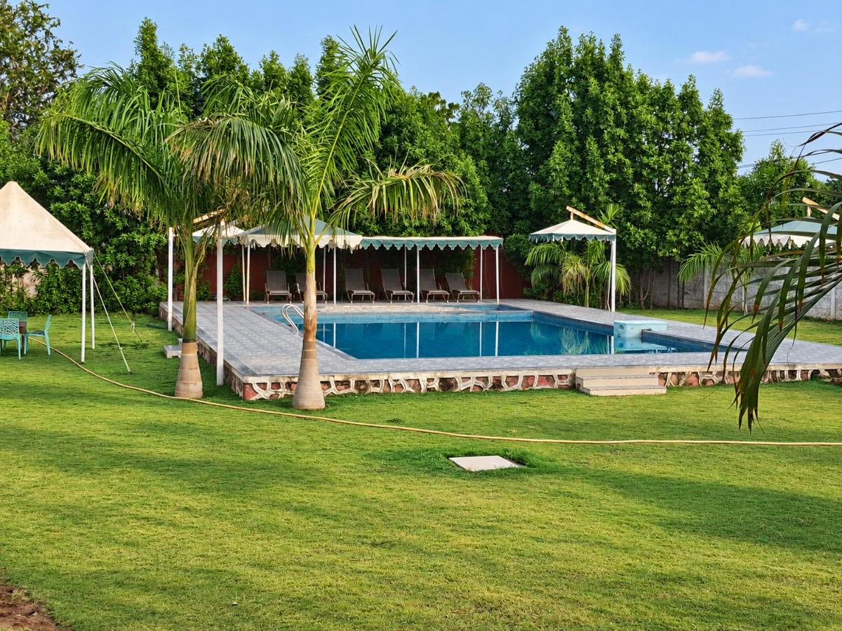 The Royal Heritage Tent Resort- Statue of Unity - Housity