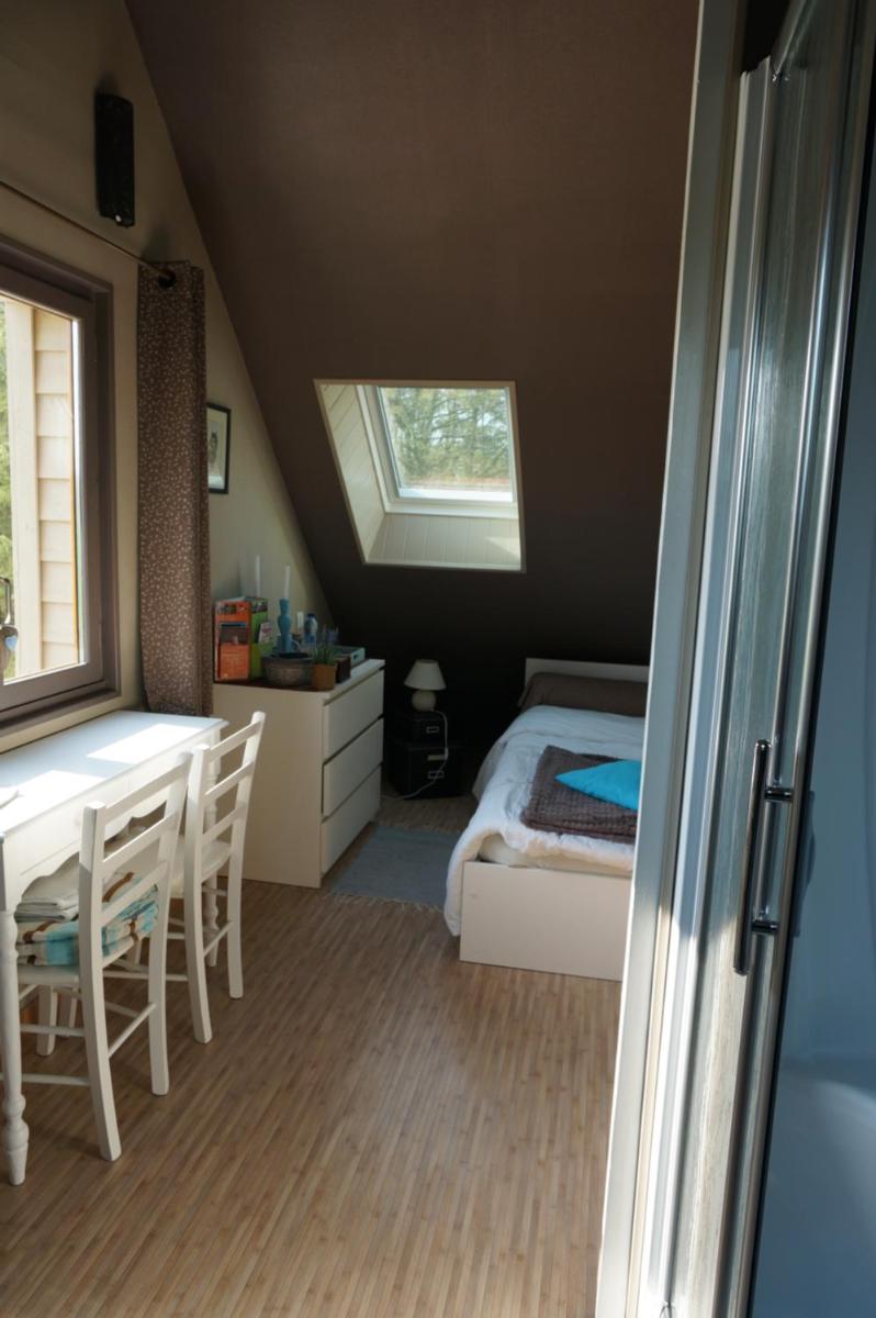 Le Petit Chaton - Housity