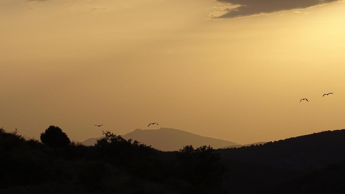 Paisaje cerca de este hotel