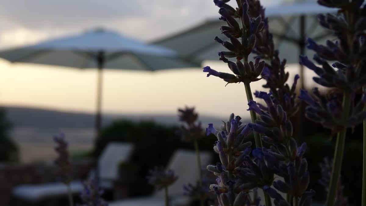 Paisaje cerca de este hotel
