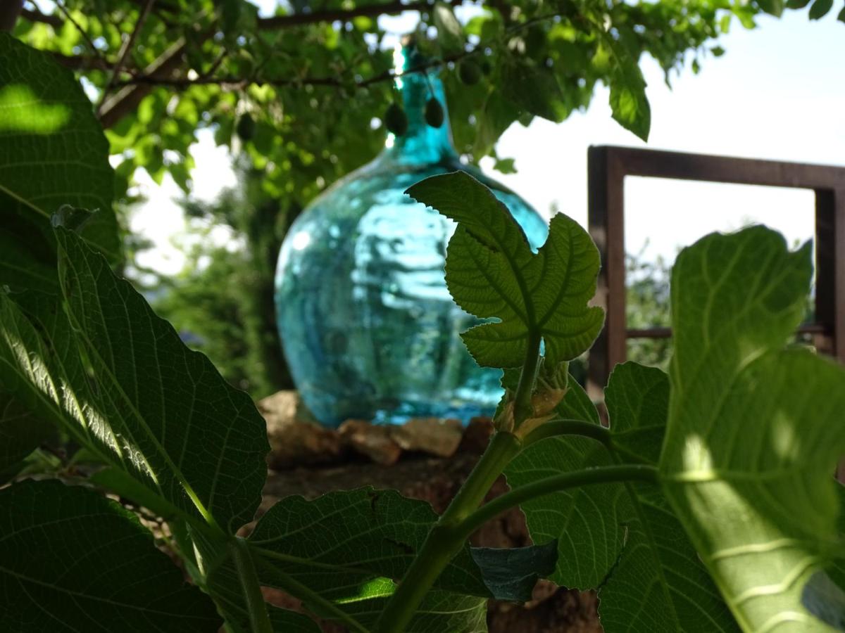 Jardín al aire libre en Hotel Cardamomo Sigüenza
