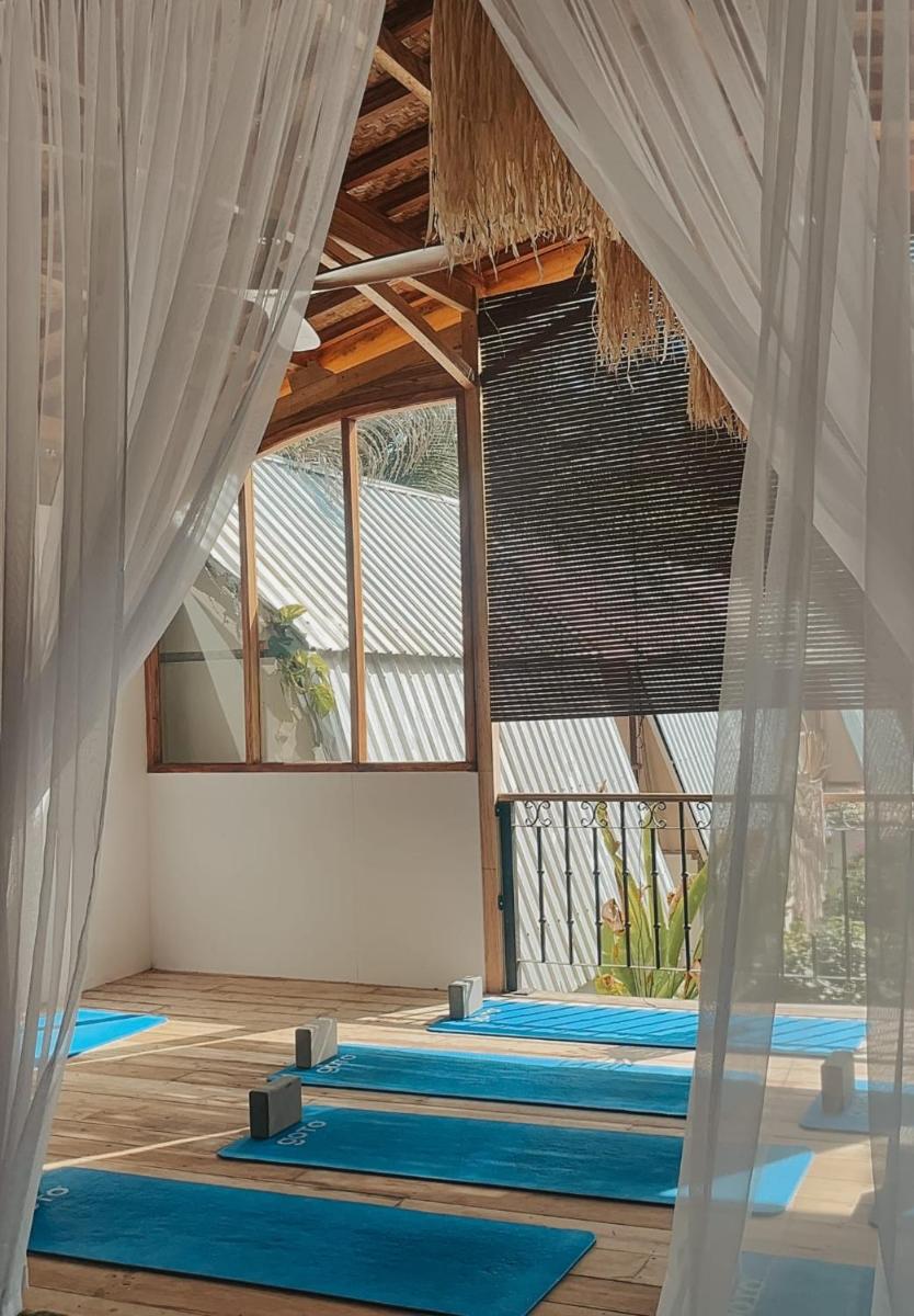 Tipsea Turtle Gili Air - Housity