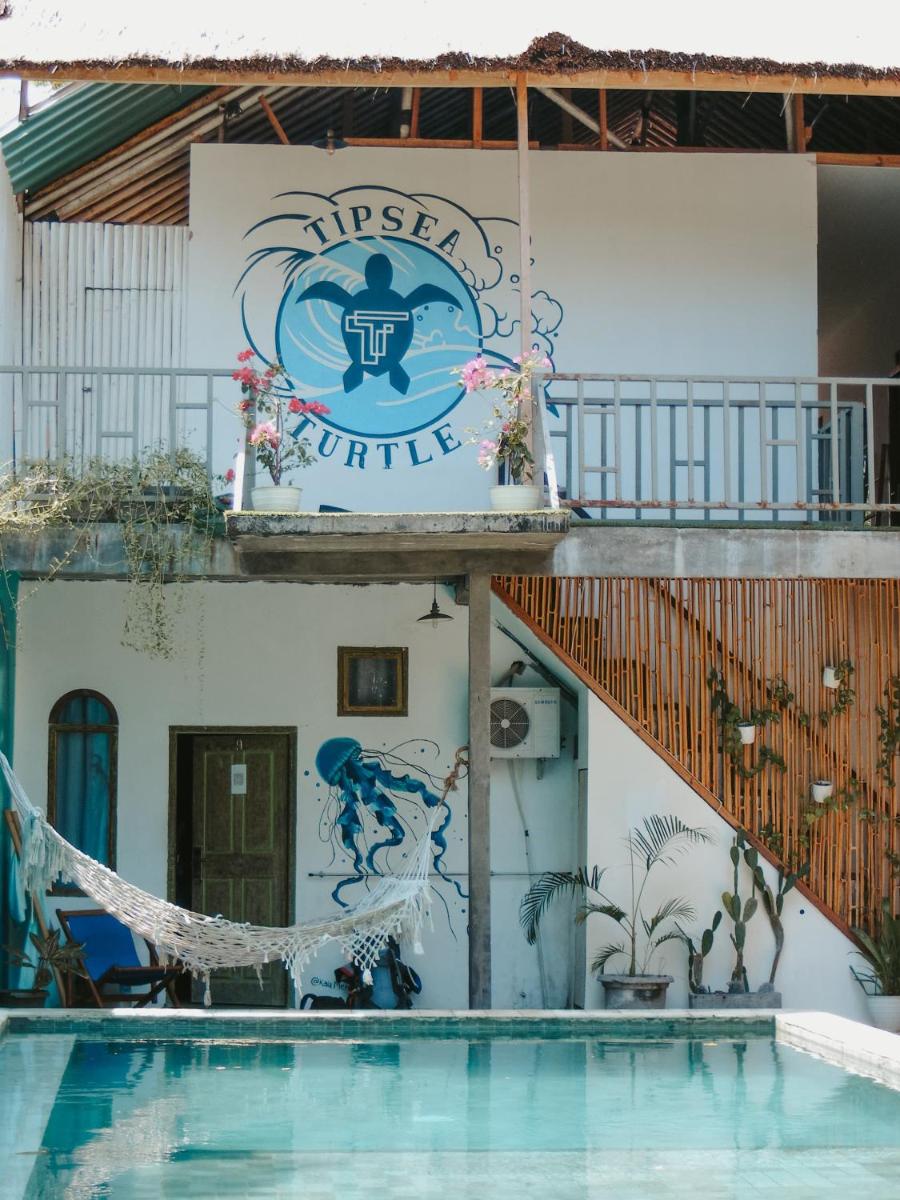 Tipsea Turtle Gili Air - Housity