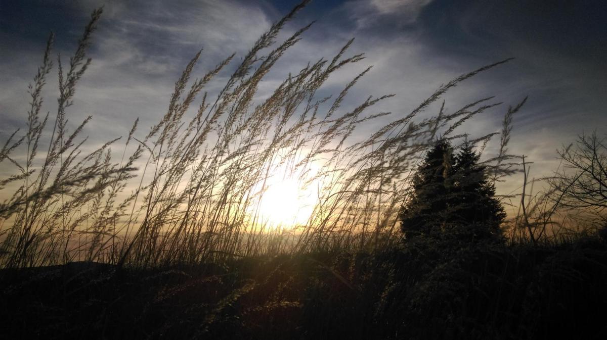 Studio Brnat - Housity