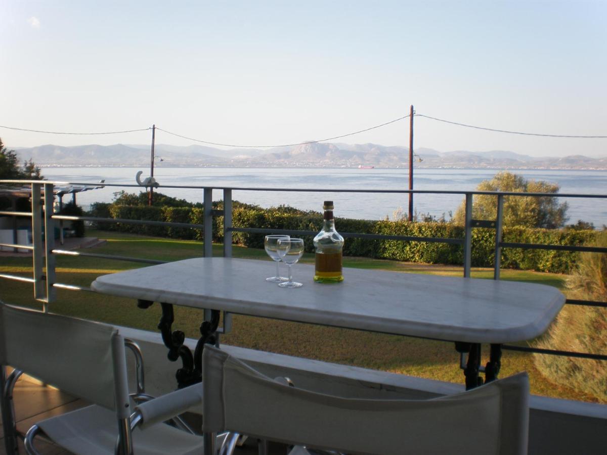 Marvelous house by the sea - Housity