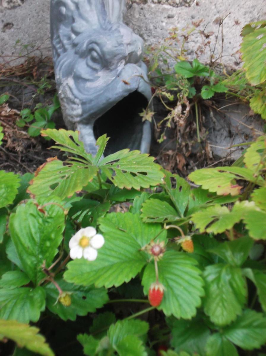 Méréhenc - Housity