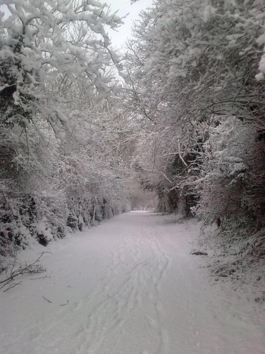 Stoke by Nayland B&B Poplars Farmhouse - Housity
