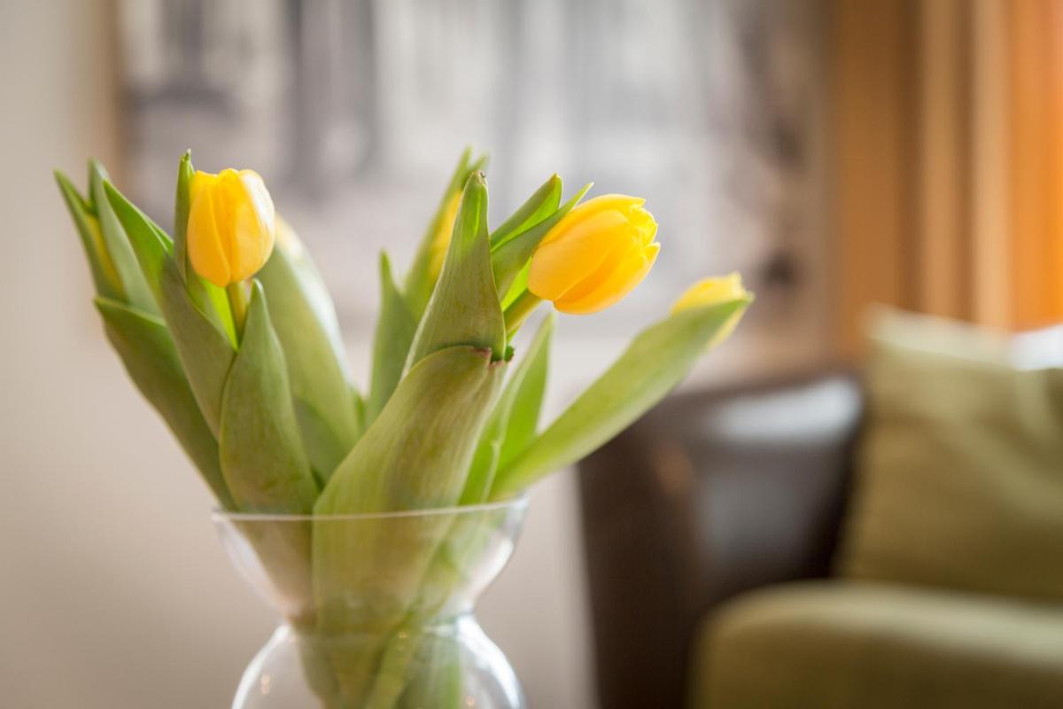 Saaresalu City Center Apartment - Housity