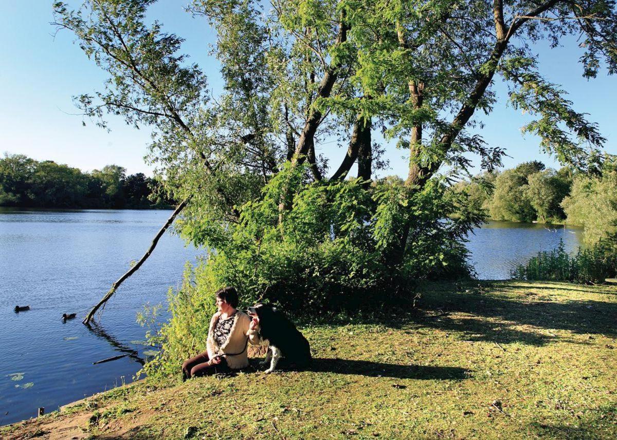 York Lakeside Lodges - Housity
