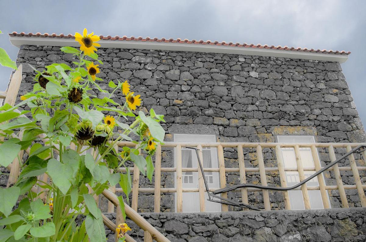 Stone Dreams - Pedra da Atafona - Housity