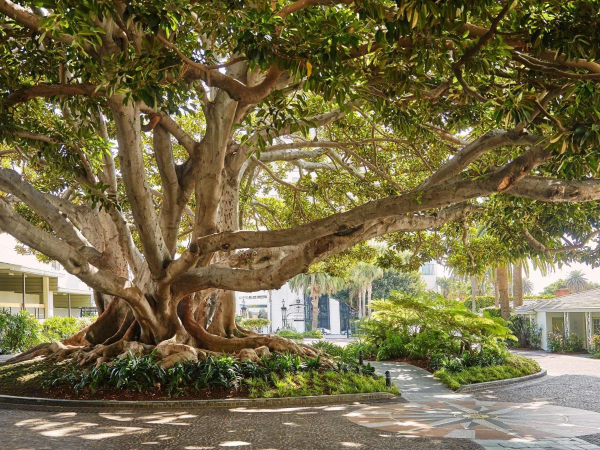 Fairmont Miramar Hotel & Bungalows - Housity