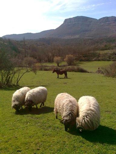 Casa Rural Parriola - Housity