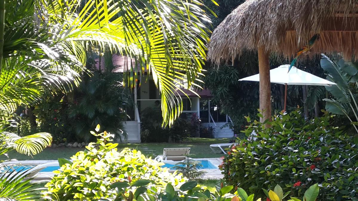 Bungalow Natura Village - Housity