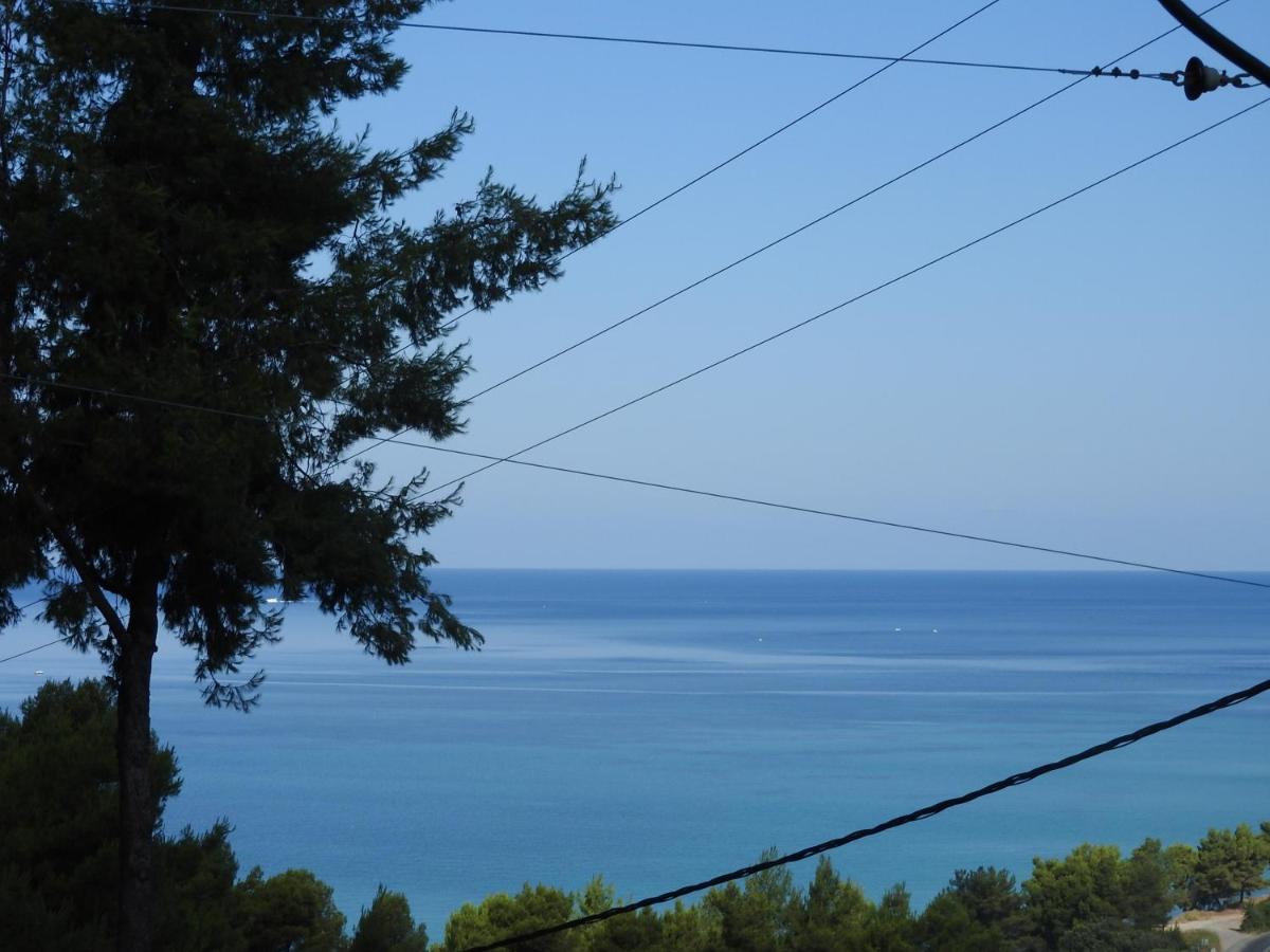 Maria's Sea View House - Housity