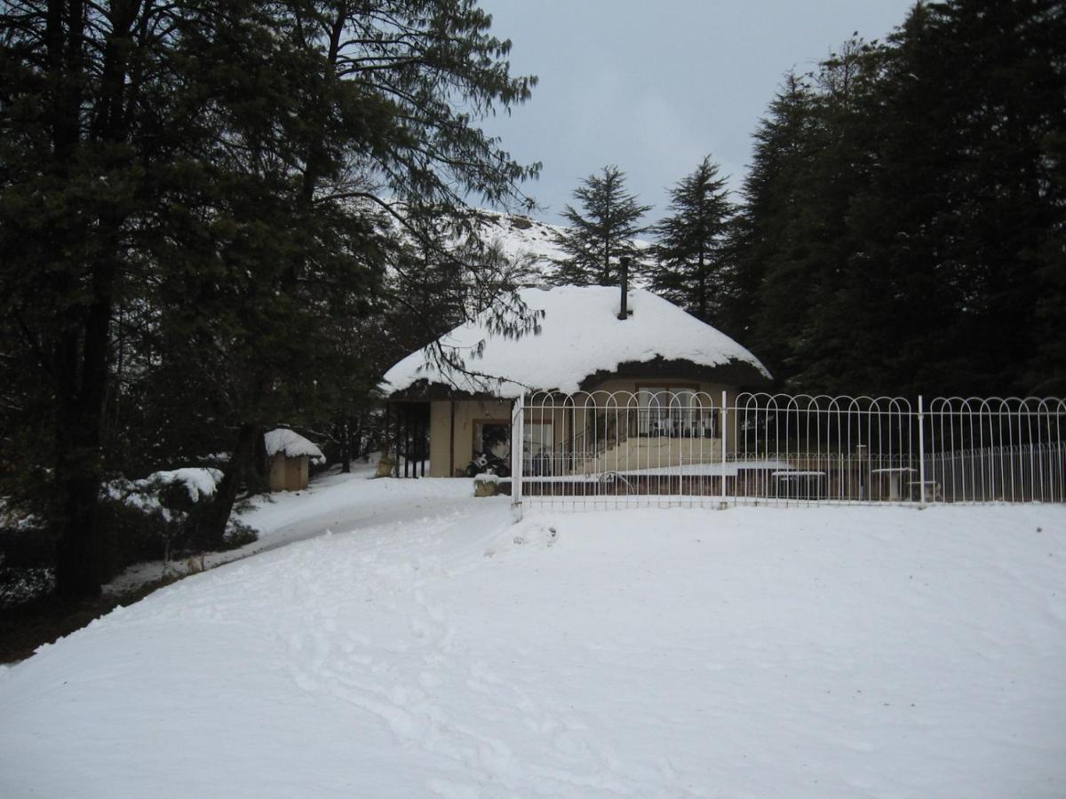 Lairds Lodge - Housity