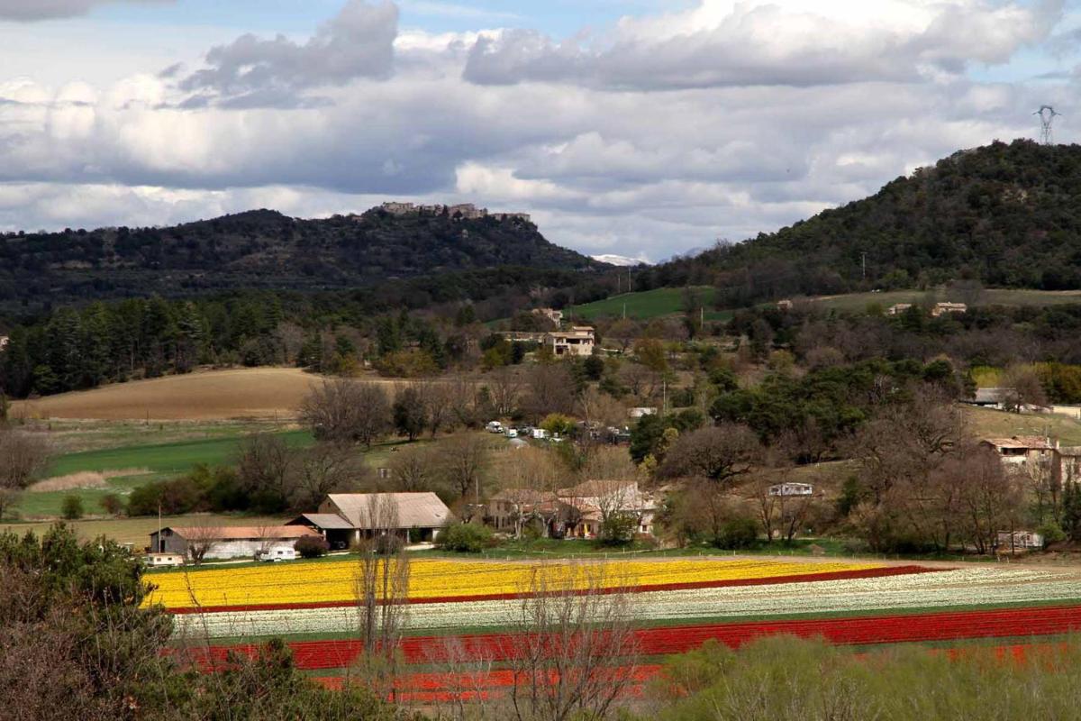 Ferme Equestre Les Coccinelles - Housity