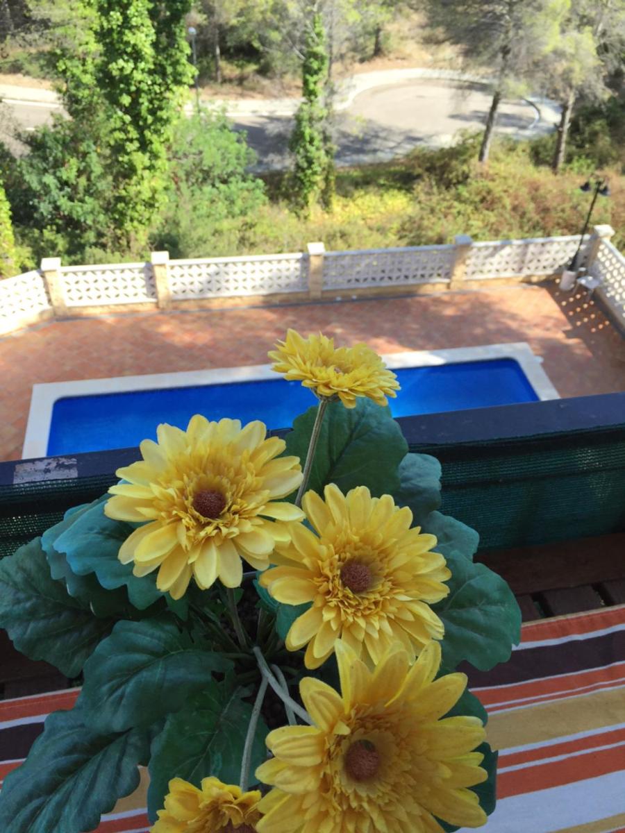 Appartement tranquille idéal couple ou famille 2 adultes 2 enfants - Housity