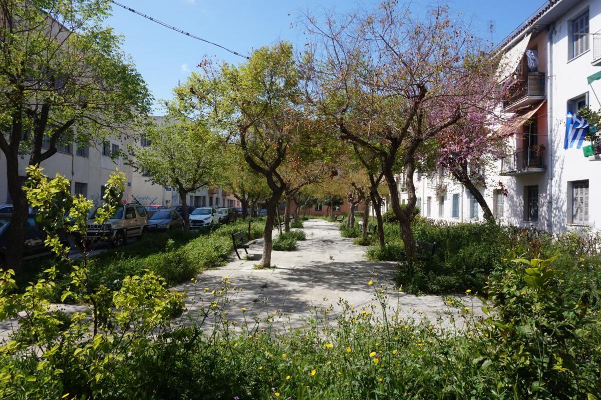Suitetrails - KYMA Apartments - Athens Acropolis 4