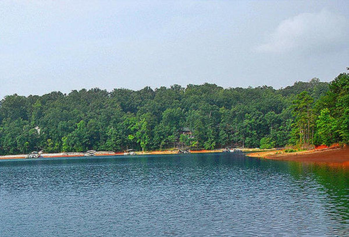 Carolina Landing Camping Resort Cabin 14 - Housity