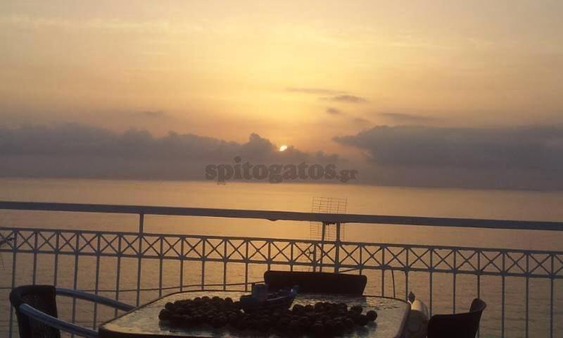 Cheap and confortable, SEAFRONT, Terrace, Zante Town - Housity