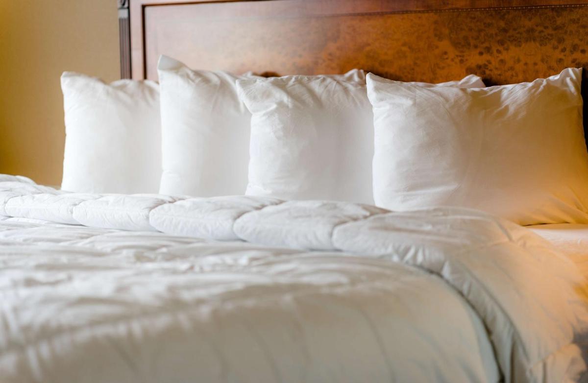 The Wildwood Hotel - Housity
