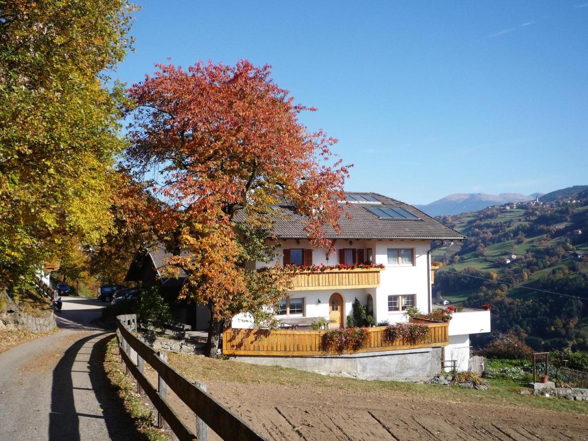 Planatscherhof - Housity