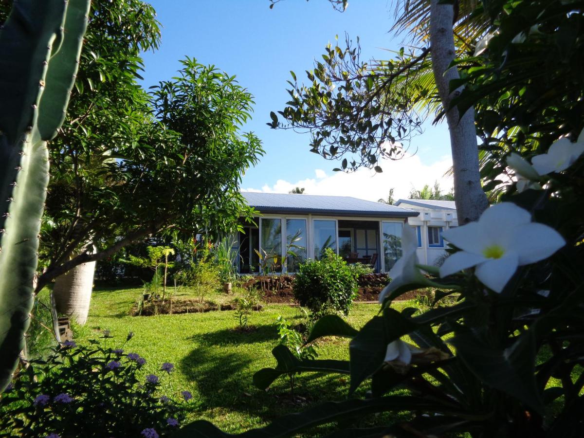 L'Arbre de Vie - Housity