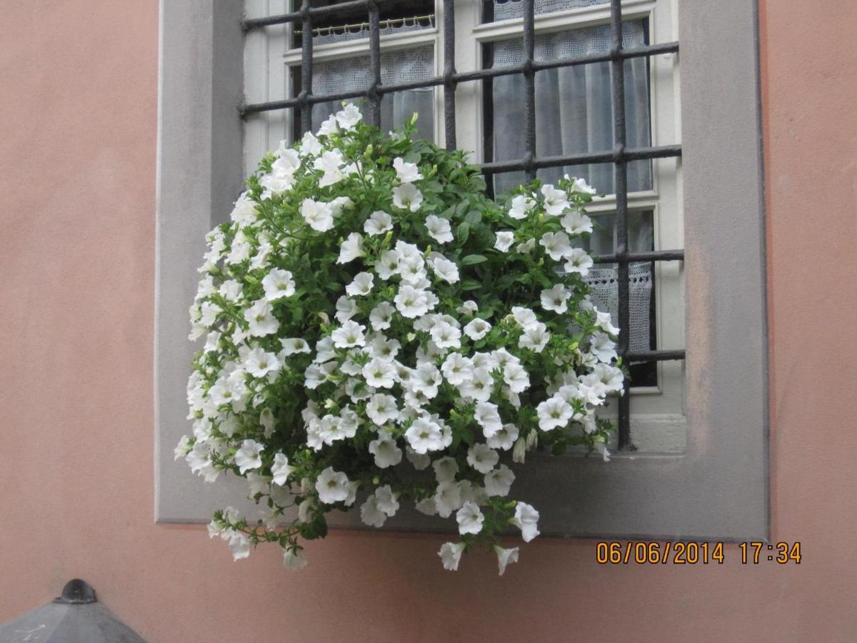 La Gatta sul Tetto - Housity