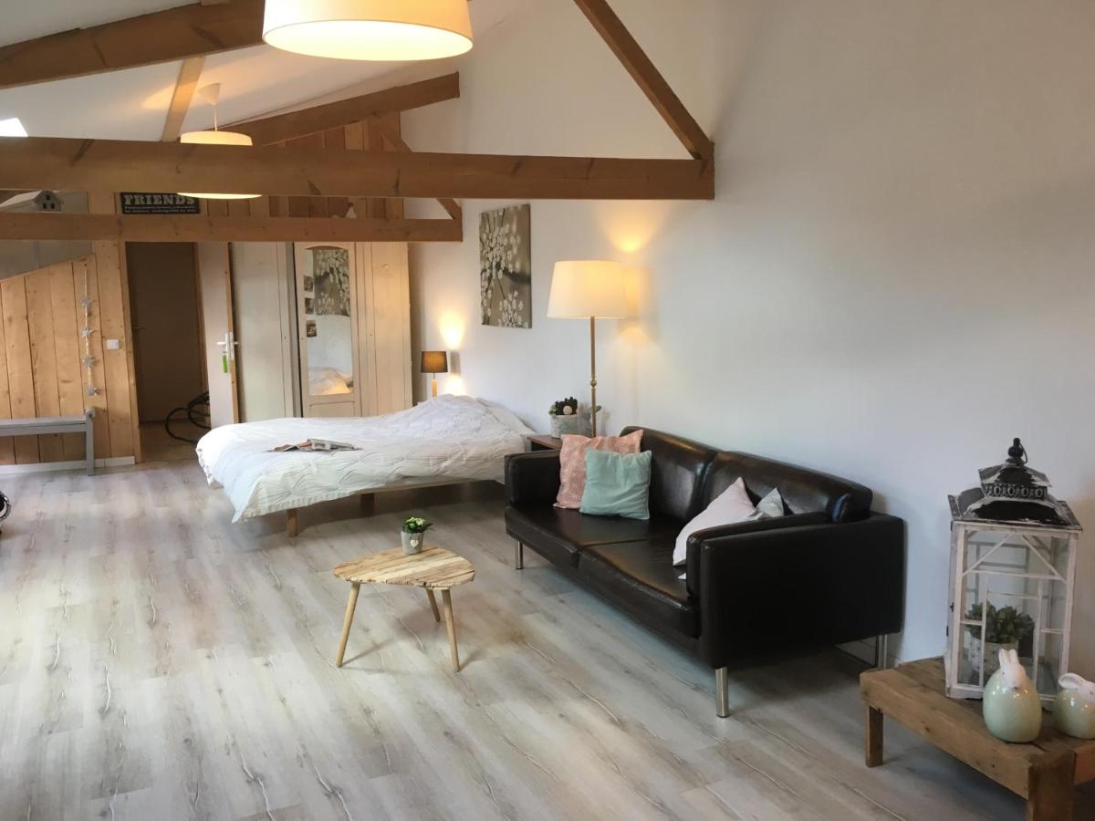 La Chicorée - Housity