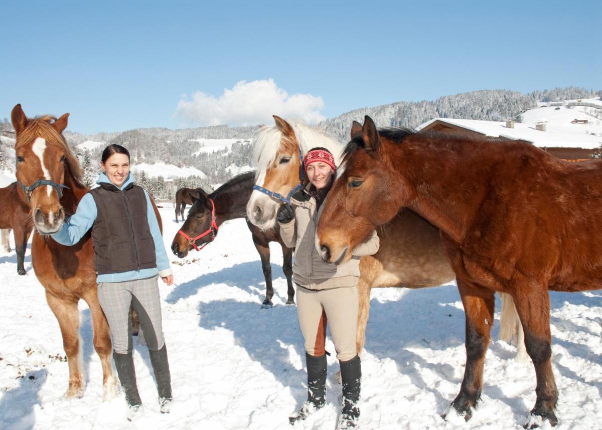 Hotel & Alpin Lodge Der Wastlhof - Housity