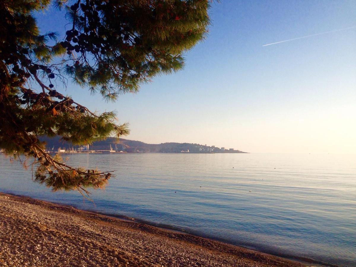 Apartment Verdan - Housity