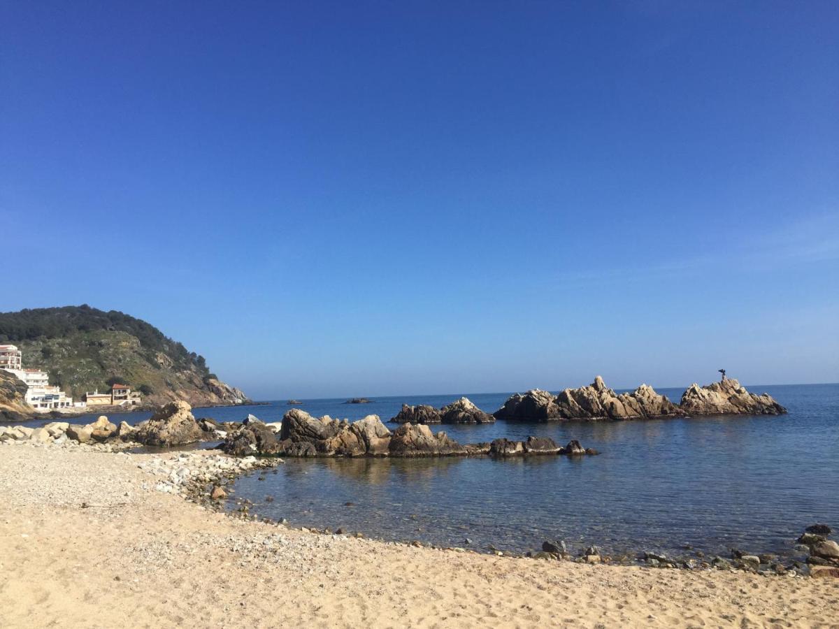 Apartamentos Port Marina - Housity