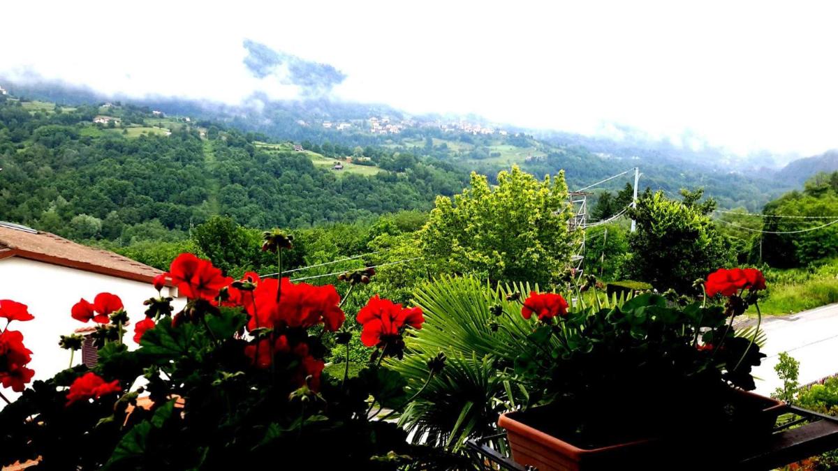 B&B Da Franca - Housity