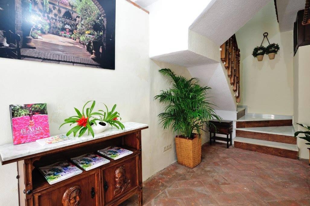 De Patios - Housity