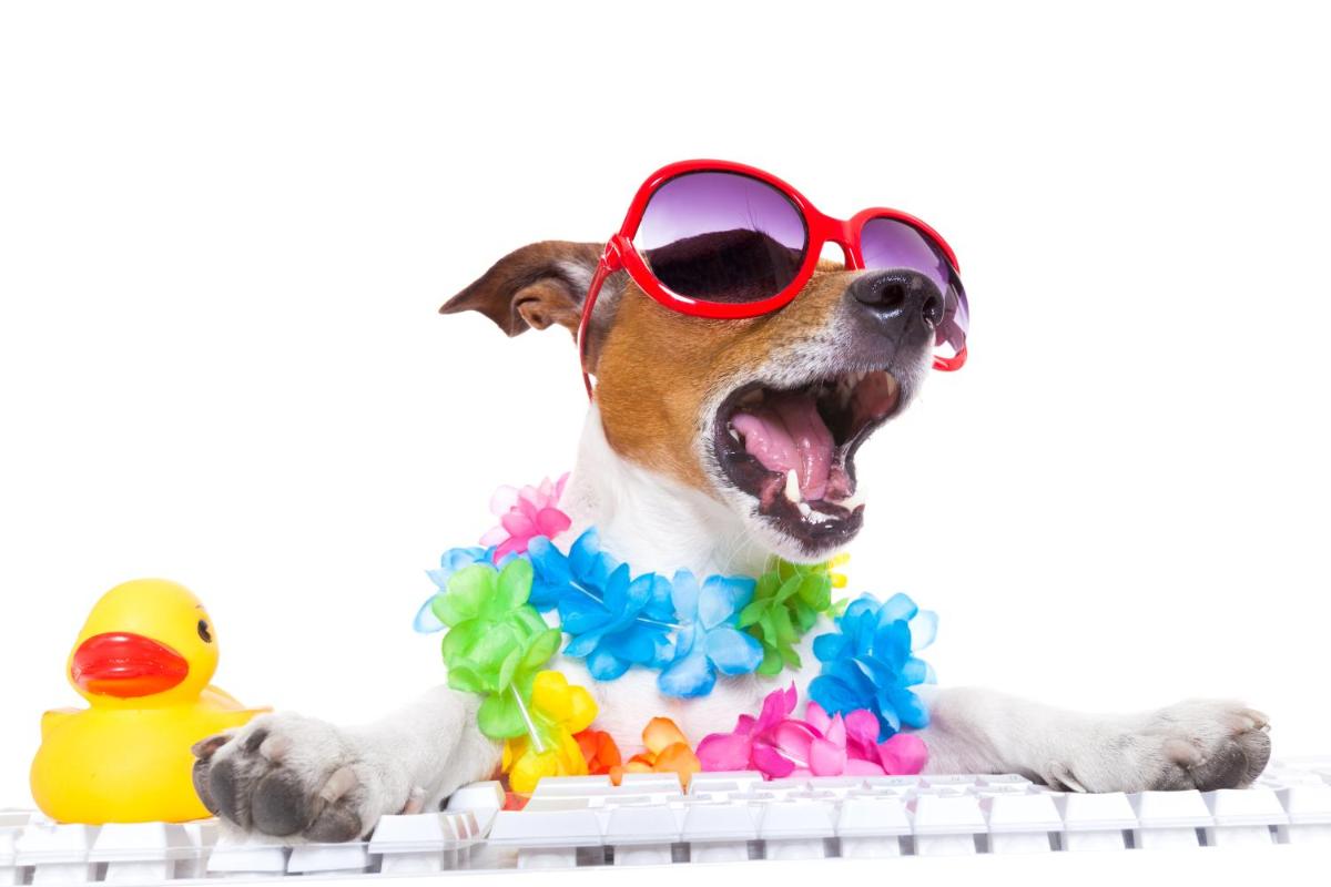 Mascotas con sus dueños en Hotel Ritual Torremolinos- Adults Only