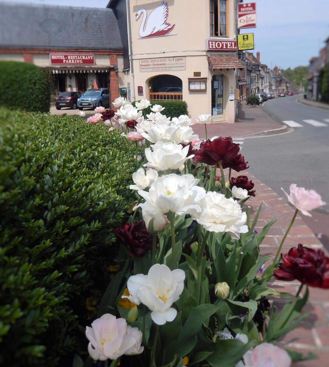 Hotel Restaurant Le Cygne - Housity
