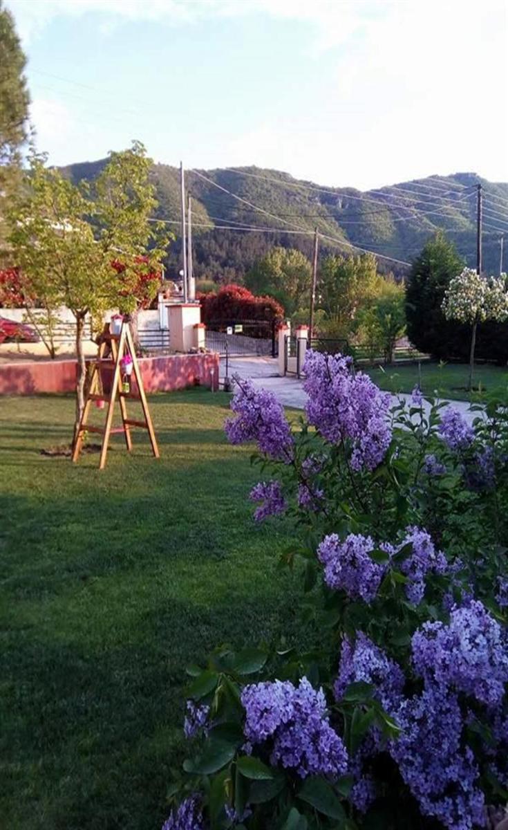 Kavala Villa 360 degrees green - Housity