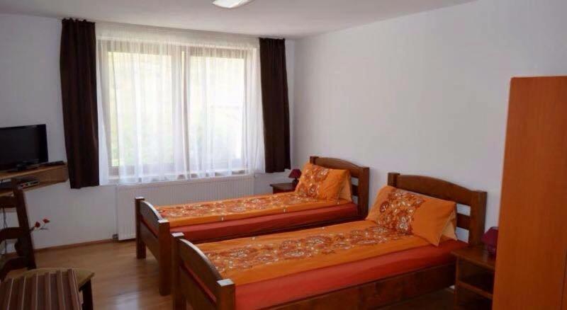 Pensiune Denisa - Housity